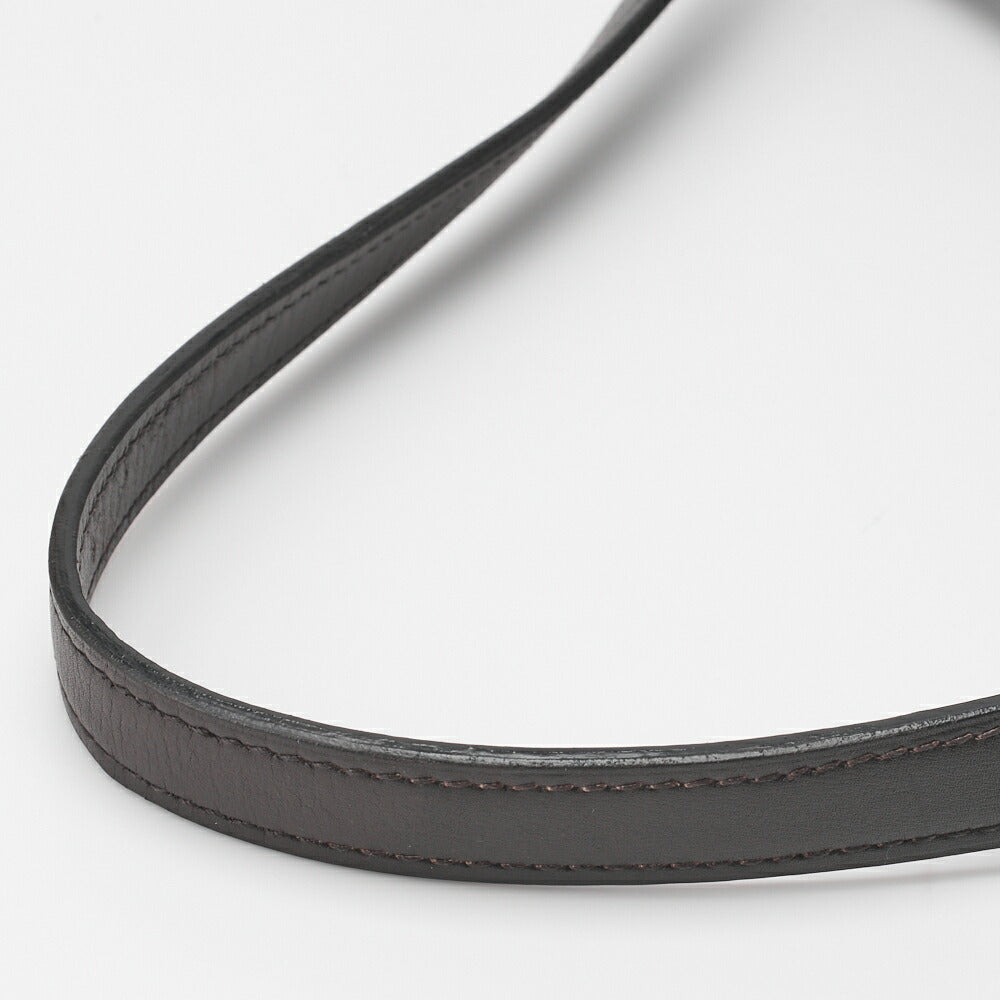 CELINE Shoulder Bag Carriage Calfskin Brown Gold-Tone Hardware Pre-Owned - Vintage La Charme